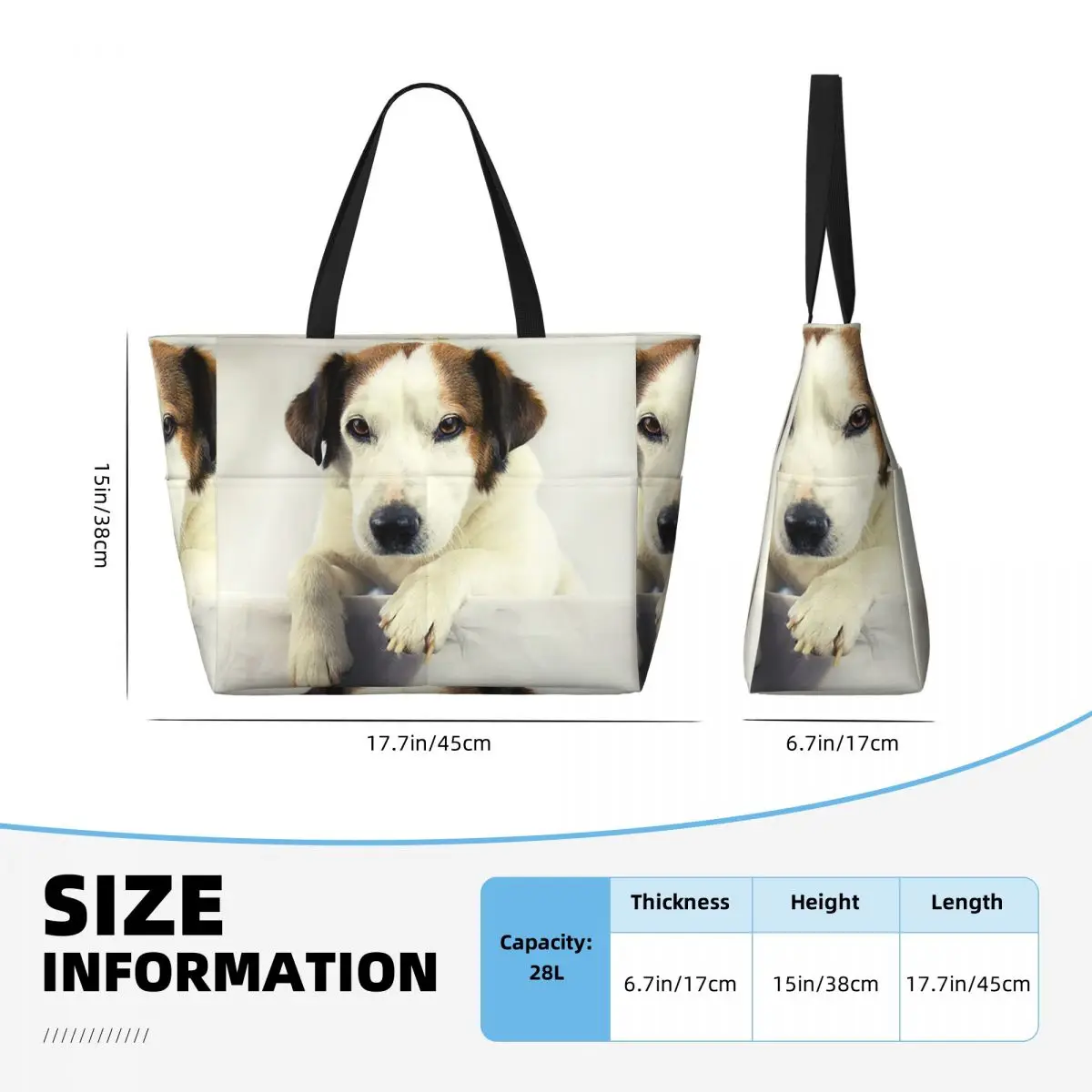 Köpek Jack Russell Terrier Fot - Yoga Fitness Photos incelemesi ve fiyatı